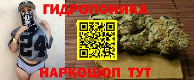 a pvp Канаш