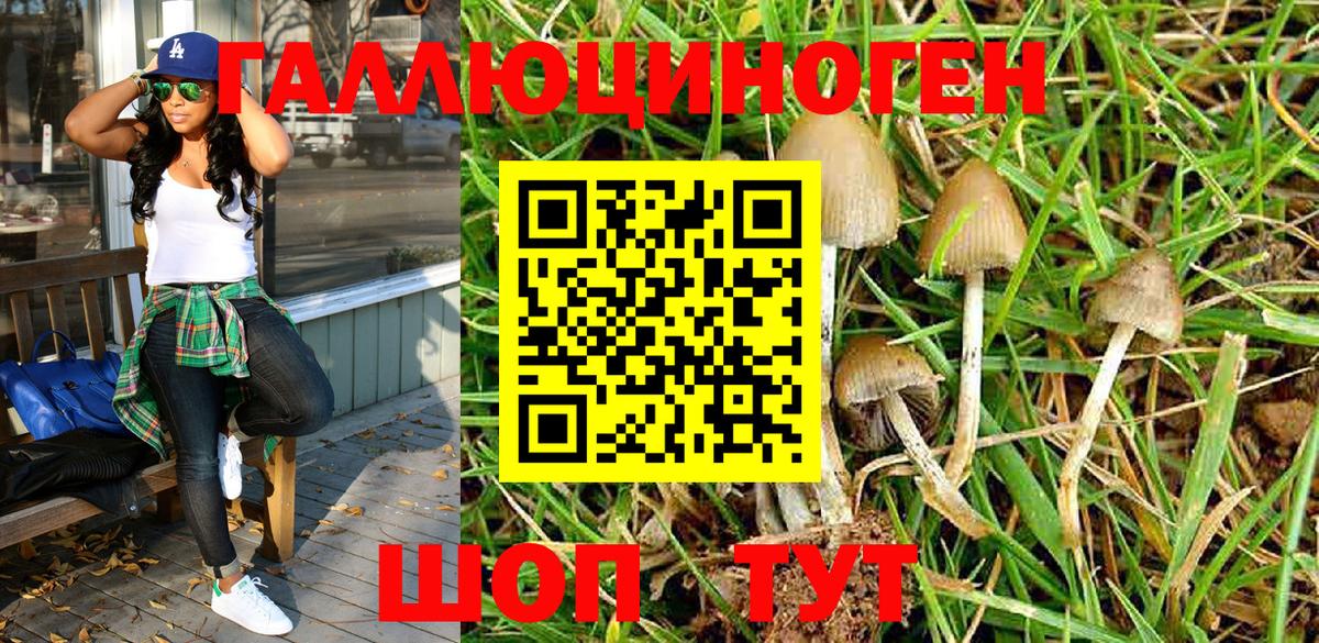 Галлюциногенные грибы Psilocybe  Вход с VPN  Кстово  Псилоцибиновые грибы Magic Shrooms 