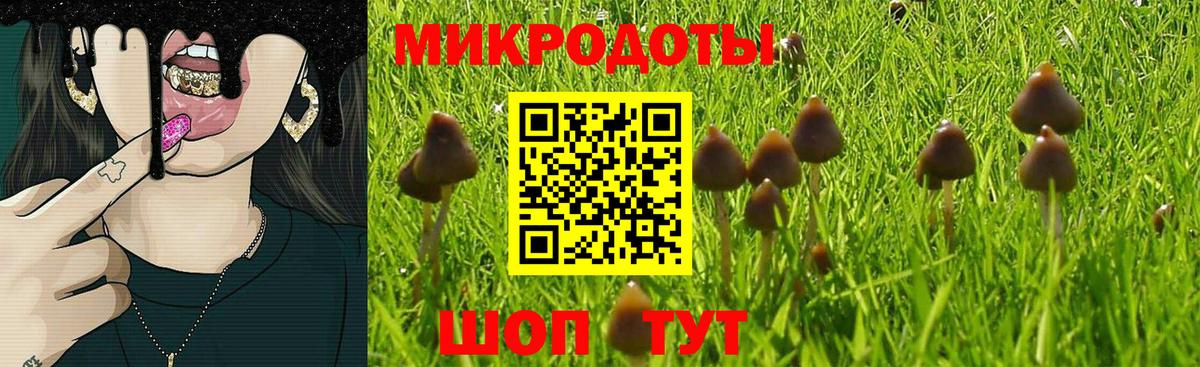 Псилоцибиновые грибы мицелий Кстово
